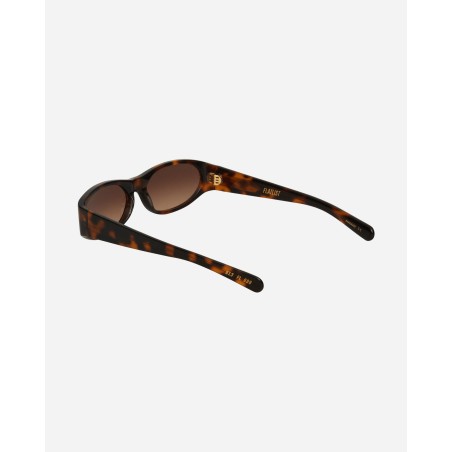 Brand New Eddie Kyu Sunglasses Tortoise / Brown Gradient Immediate Availability