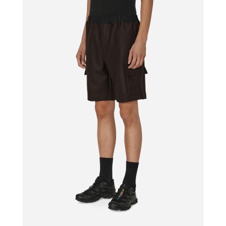 Brand New Salomon Panno Utility Shorts Brown Ready for Shipment