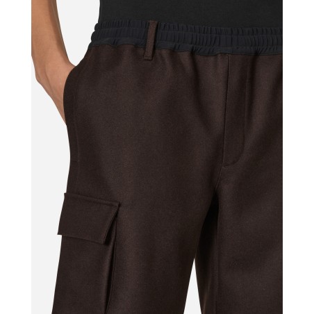 Brand New Salomon Panno Utility Shorts Brown Ready for Shipment