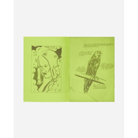 Brand New Raymond Pettibon: Selected Works From 1982 To 2011 Zine Available for Immediate Shipping