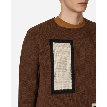 Brand New Raglan Sweater Brown New Collection