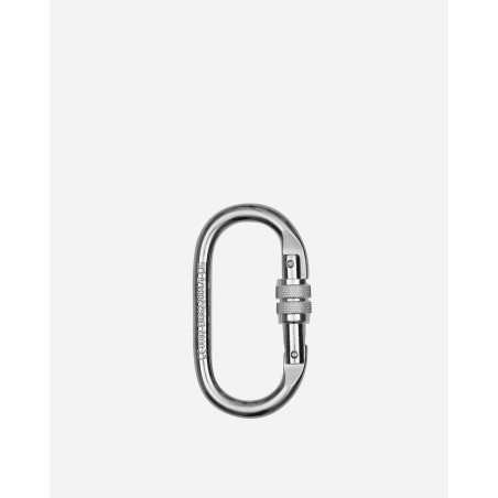 Brand New Climbing Carabiner Silver On Hand Now