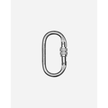 Brand New Climbing Carabiner Silver On Hand Now