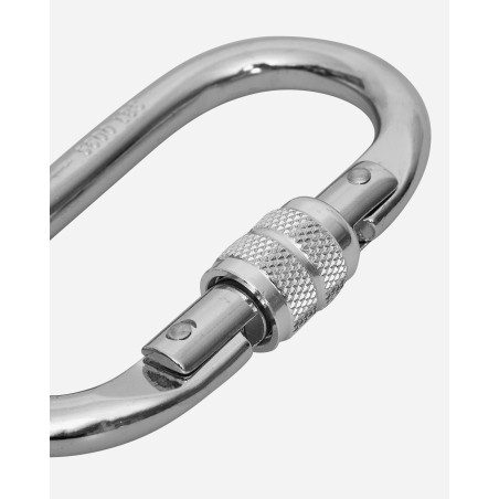 Brand New Climbing Carabiner Silver On Hand Now