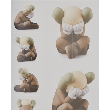 Brand New KAWS: What Party Book Immediate Availability