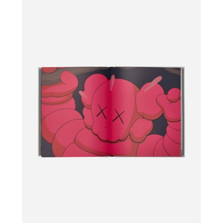 Brand New KAWS: New Fiction Book Just Launched