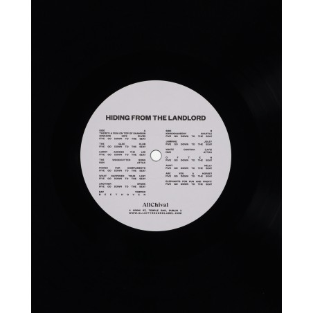 Brand New Hiding From The Landlord Vinyl Limited Stock