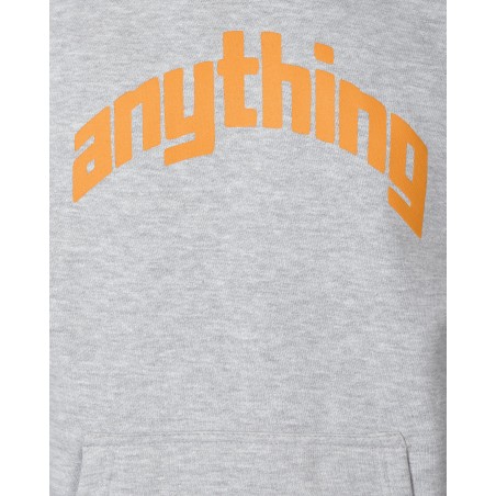 Brand New Curved Logo Hoodie Heather Grey New Stock