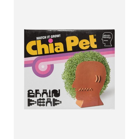 Brand New Logohead Chia Pet Green / Multi Ready for Shipment