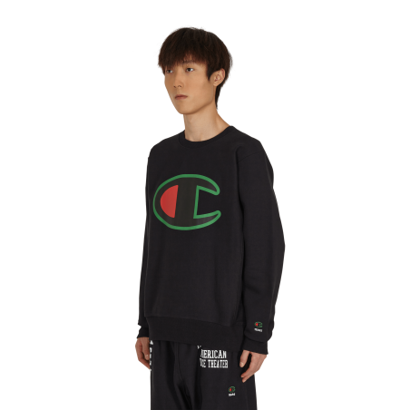 Brand New Logo Crewneck Sweatshirt Multicolor Fresh Release